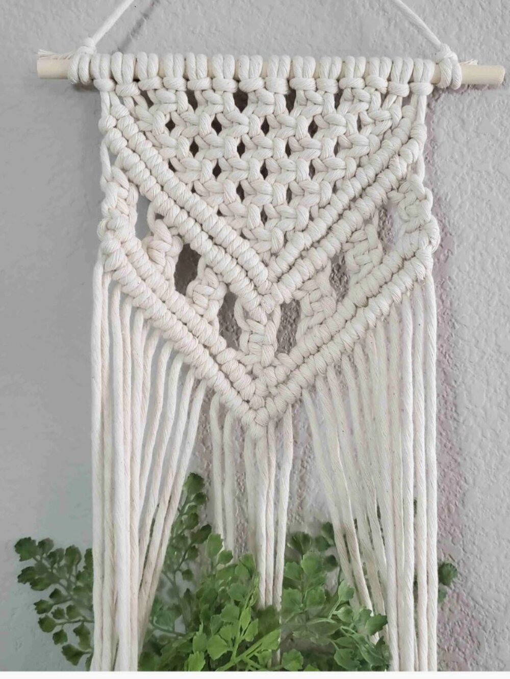 Original Macrame Wall Plant Hanger